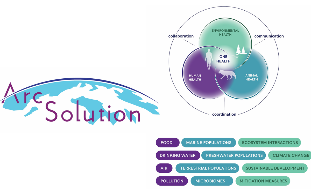 One Health framework